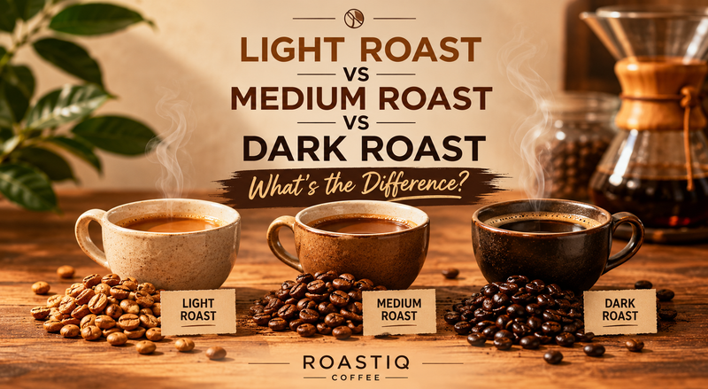 Light Roast vs Medium Roast vs Dark Roast: What's the Difference?