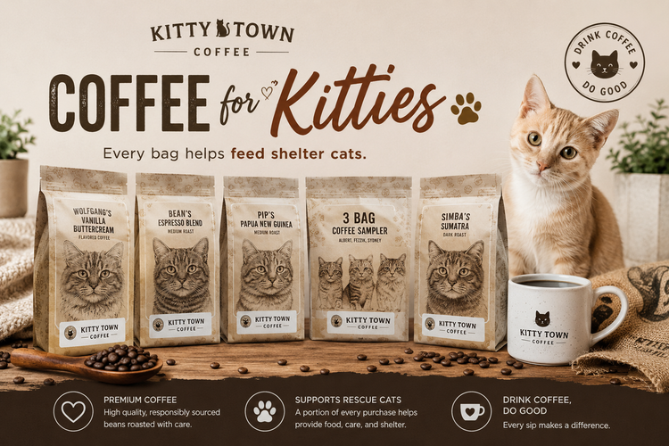 Coffee for Kitties Collection 🐾